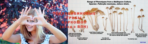 эйфоретик Алексин