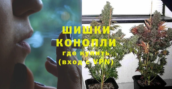 мет Аркадак
