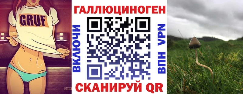 Галлюциногенные грибы MAGIC MUSHROOMS  где можно купить   KRAKEN зеркало  Пушкино 
